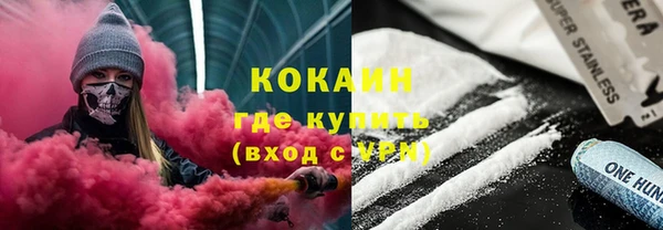 сатива Пересвет