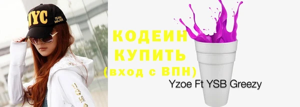 крисы Пестово