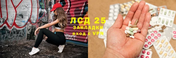 сатива Видное