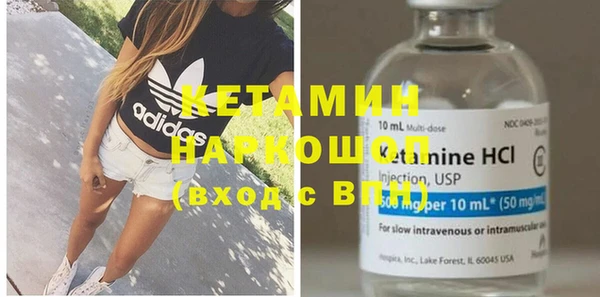 сатива Пересвет