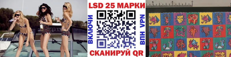 продажа наркотиков  Пошехонье  Марки NBOMe 1500мкг 