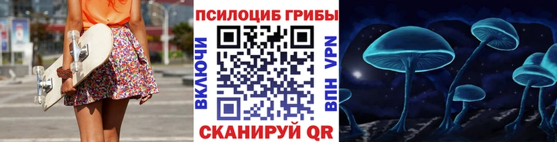 Галлюциногенные грибы Psilocybe  Пошехонье 